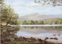Rydal Water (click to enlarge)