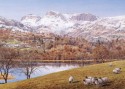 Langdale Pikes from Elterwater (click to enlarge)