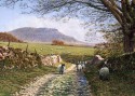Penyghent from Horton Scar Lane (click to enlarge)