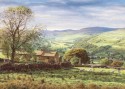 Swaledale (click to enlarge)