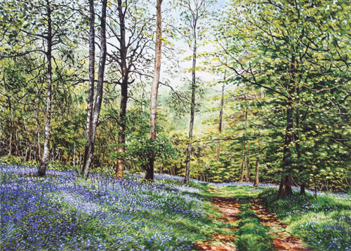 Cuckoo Coppice - Lake District. Keith melling