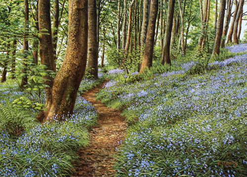 Bluebells, Haslost Wood II -Lancashire. Keith Melling