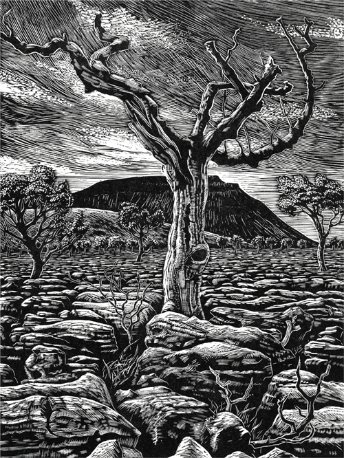 Ingleborough from Southerscales Scars - Yorkshire Dales. Keith Melling