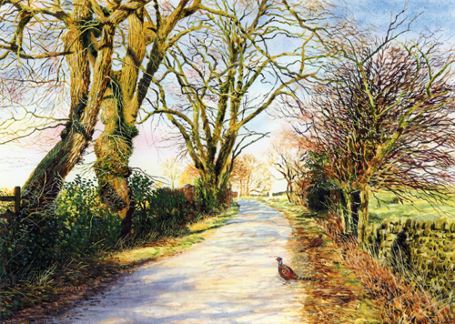 February Sun  - Lancashire. Keith Melling