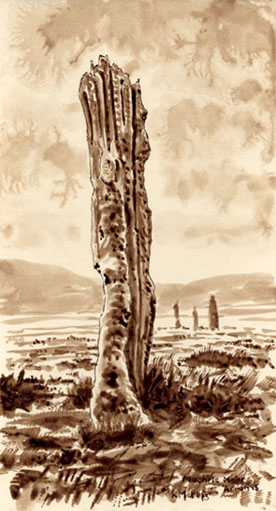 Standing Stones, Machrie Moor,  Isle of Arran iii
